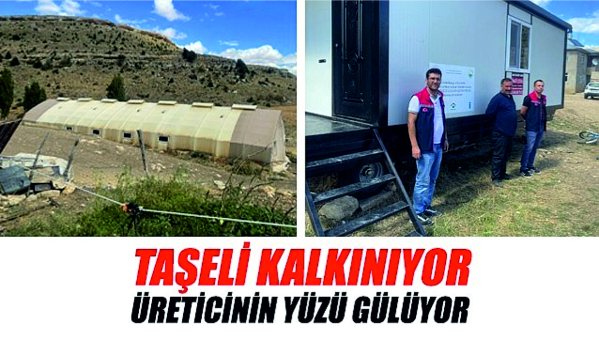 TAŞELİ KALKINIYOR